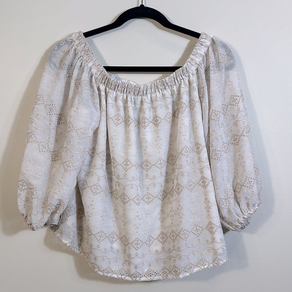 Express Embroidered Eyelet Off Shoulder Longsleeve Flowy Lined Women Top Medium